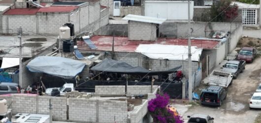 Desmantelan pelea de gallos clandestina en Pachuca